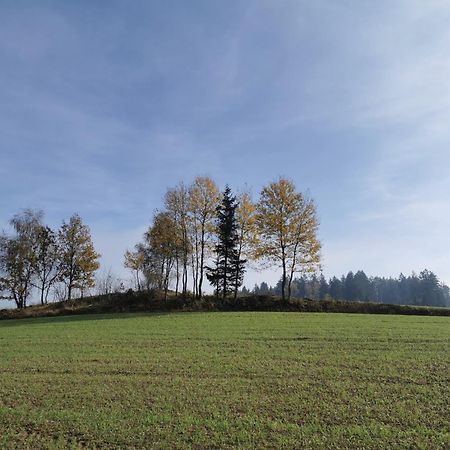 Kindererlebnis- Und Biobauernhof Hipp-Bruckner Wornharts Buitenkant foto