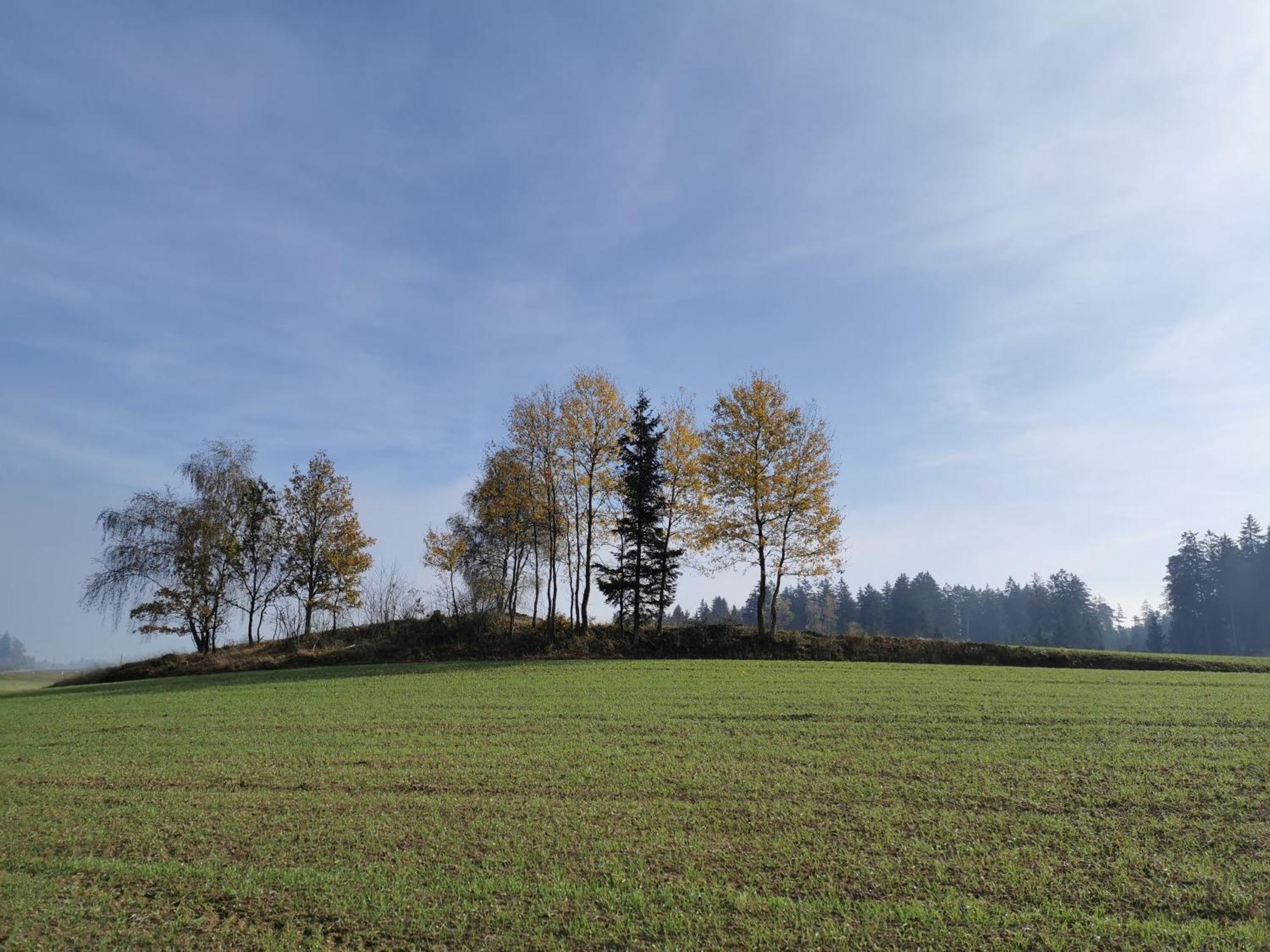 Kindererlebnis- Und Biobauernhof Hipp-Bruckner Wornharts Buitenkant foto