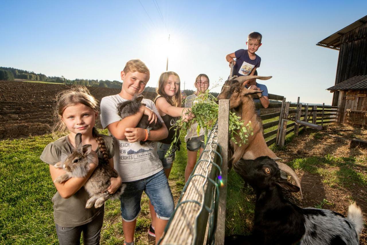 Kindererlebnis- Und Biobauernhof Hipp-Bruckner Wornharts Buitenkant foto