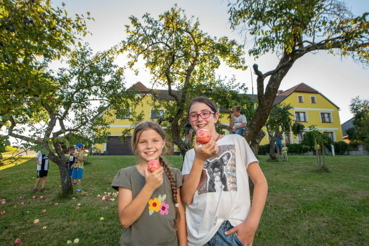 Kindererlebnis- Und Biobauernhof Hipp-Bruckner Wornharts Buitenkant foto